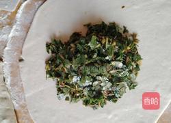 马齿苋菜卷子的做法图解8