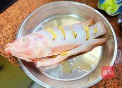 清蒸红石斑鱼的做法图解3