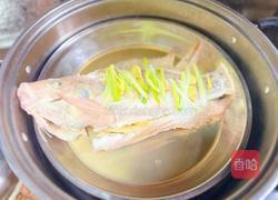 清蒸红石斑鱼的做法图解4