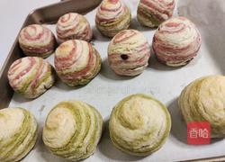 椰蓉蔓越莓螺旋酥（纯手工）的做法图解18