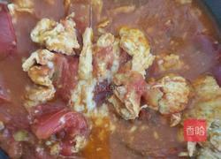 西红柿炒鸡蛋的做法图解15