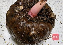魔芋豆腐的做法图解1