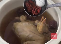 红参阿胶鸽子汤的做法图解6