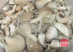 杂菇煲的做法图解3