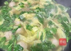 牛肉丸子的做法图解6