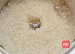 甜酒曲的做法图解6