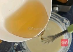 醪糟酸奶的做法图解11
