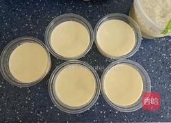 醪糟酸奶的做法图解12