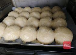 椰蓉小面包的做法图解10