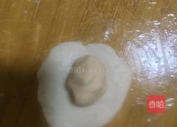 小猪蛋黄酥(奶香椰蓉馅)的做法图解5