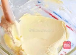 提拉米苏巴斯克蛋糕的做法图解8