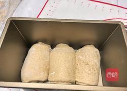 全麦吐司的做法图解10