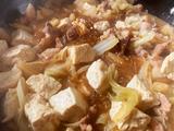 猪肉白菜炖粉条（家常版）的做法[图]