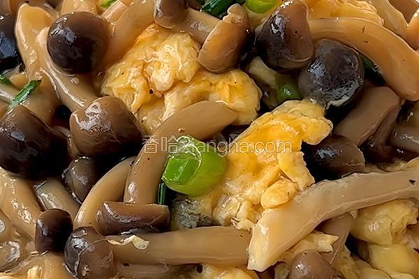 入口滑嫩、菌菇鲜香的菌菇滑蛋真的绝了～超简单哟～
