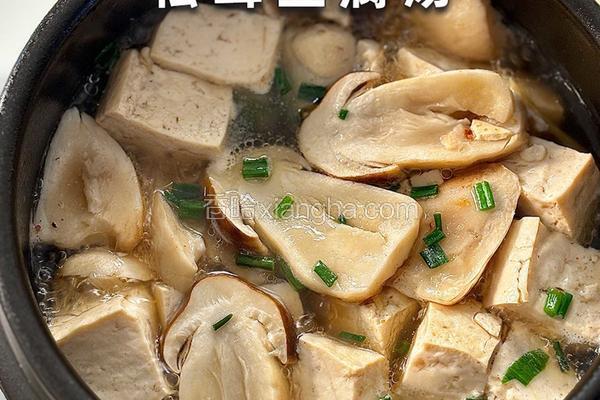 鲜掉眉毛！这碗松茸豆腐汤直接封神！一口入魂的秋日限定美味来啦