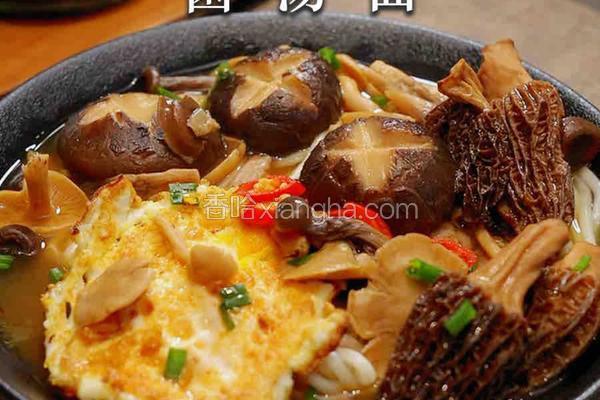 一口入魂！这碗菌汤面，鲜到舌头打颤