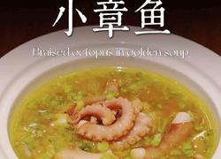 金汤小章鱼