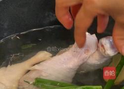葱油鸡的做法图解2