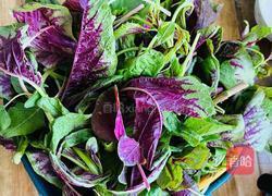 红苋菜夹菜馍的做法图解1