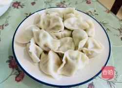 大肉西葫芦水饺的做法图解6