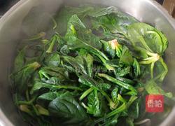 蚝油菠菜的做法图解1