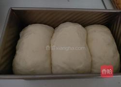 原味牛奶土司的做法图解5