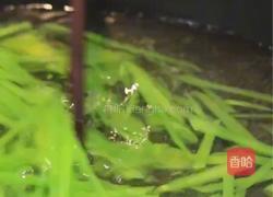 葱油鲍鱼的做法图解3