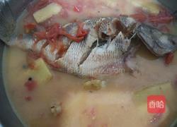 西红柿闷鲈鱼的做法图解5
