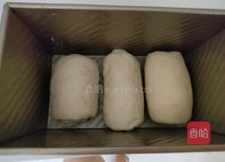 波蘭種吐司的做法圖解7