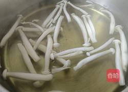 翡翠香芹拌海鲜菇的做法图解5