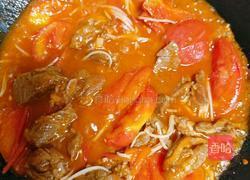 番茄牛肉的做法图解7