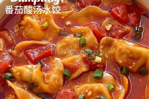 番茄酸汤水饺