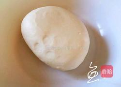 猪肉荠菜水饺的做法图解1