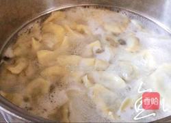 猪肉荠菜水饺的做法图解20