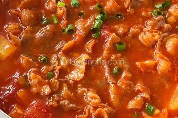 番茄牛豆肥牛煲