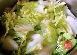 素炒白菜的做法图解5
