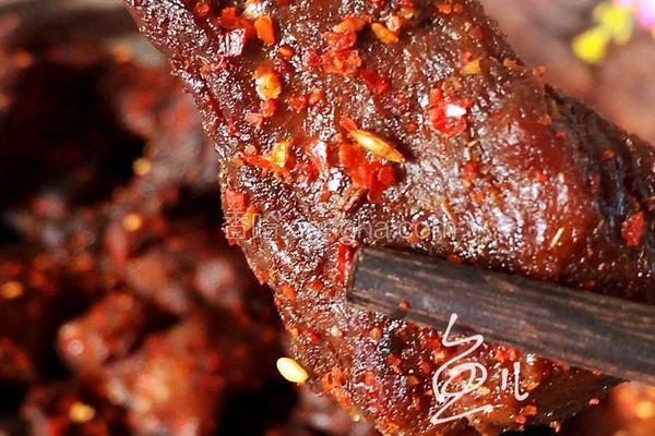 辣味牛肉干（烤箱版）