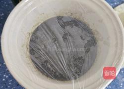 艾草薄荷膏的做法图解3