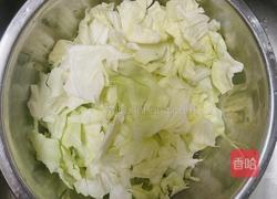 酸辣手撕包菜的做法图解4