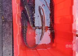 酸辣柠檬鱼的做法图解1