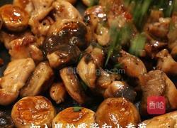 口蘑煎鸡肉的做法图解7