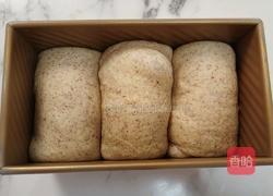 全麦吐司的做法图解13