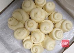 蜂蜜小面包的做法图解11