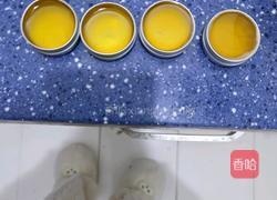 黄芪红花膏的做法图解15