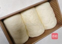 蜜豆吐司的做法图解12