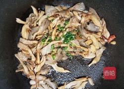 孜然平菇的做法图解6
