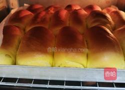 奶香南瓜餐包的做法图解19