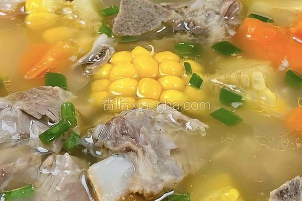 玉米排骨汤
