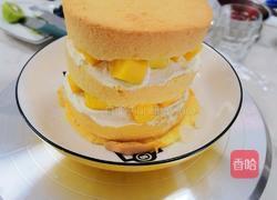 水果蛋糕的做法图解5