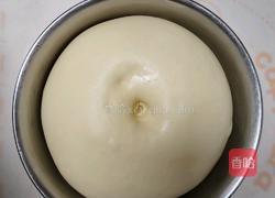 芝士培根肉松卷的做法图解5